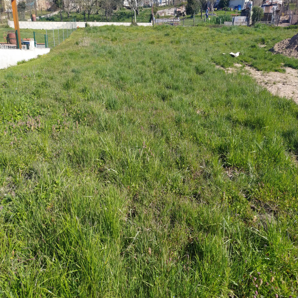 Offres de vente Terrain Maurs 15600