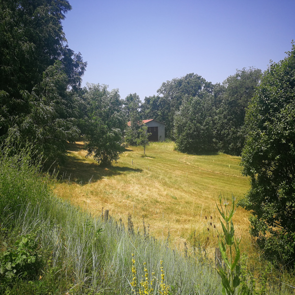 Offres de vente Terrain Montmurat 15600