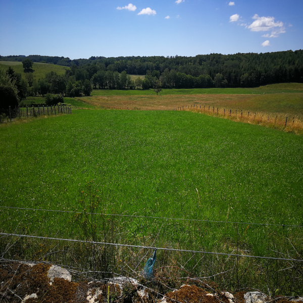 Offres de vente Terrain Glénat 15150
