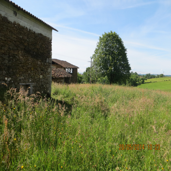 Offres de vente Terrain Quézac 15600