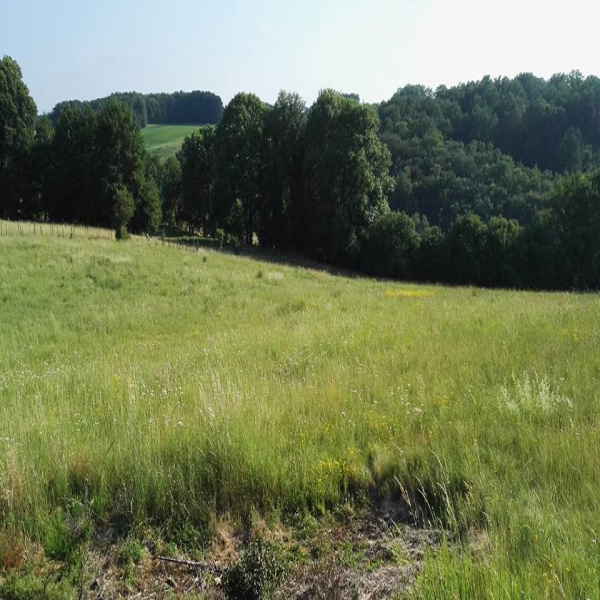 Offres de vente Terrain Saint-Gérons 15150